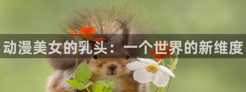 哈哩哈哩(halihali)：动漫美女的乳头：一个世界的新维度