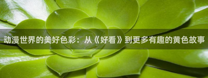 哈哩哈哩零食：动漫世界的美好色彩：从《好看》到更多有趣的黄色故事